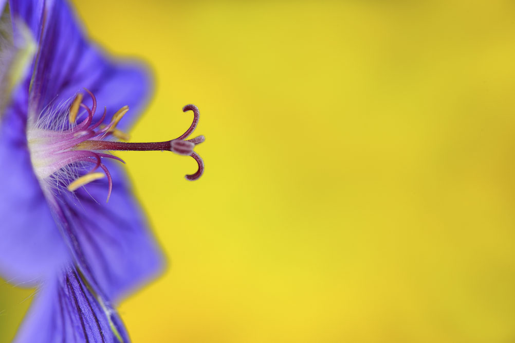 10. Platz Robert Seitz